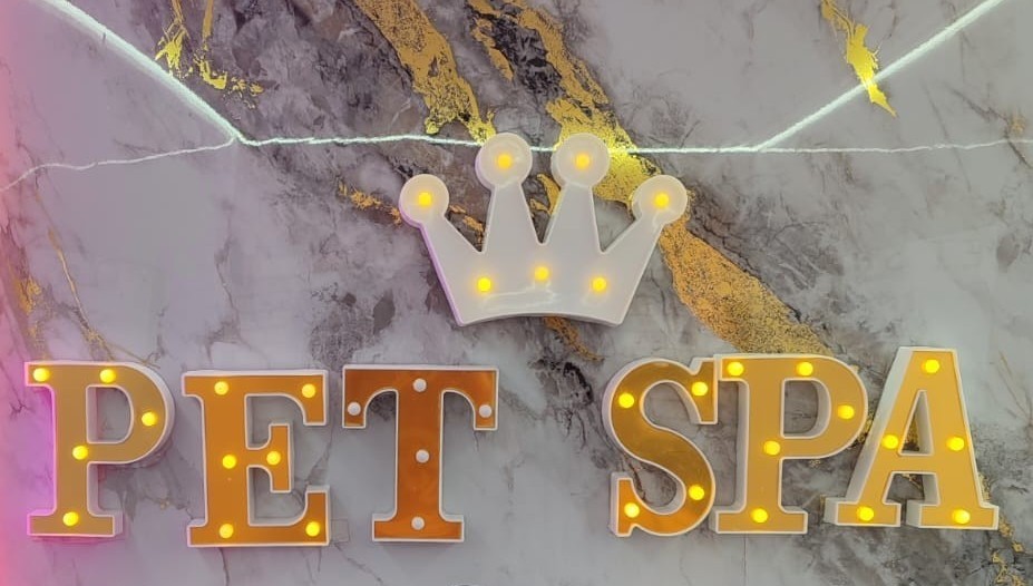 The illuminated PET SPA signage and crown on the marble-look feature wall inside the Maison De Paws van
